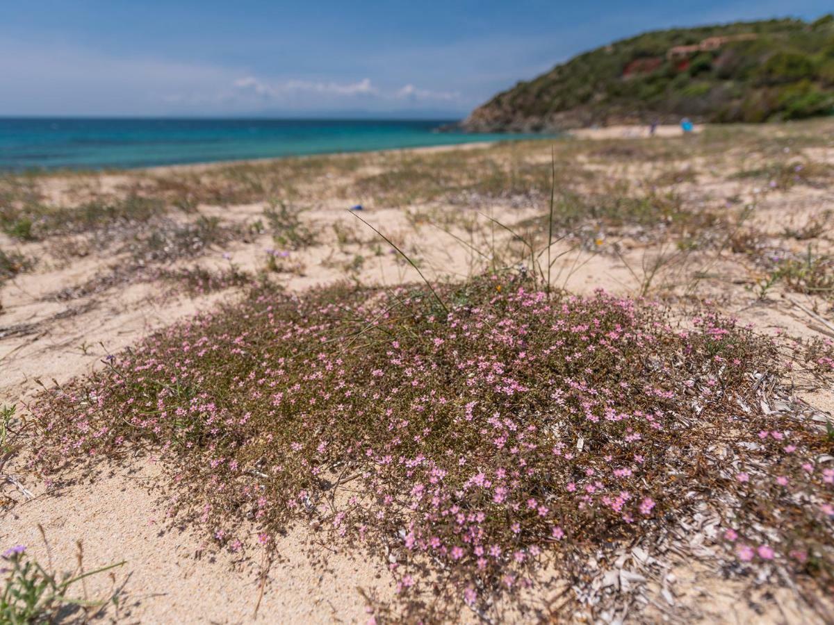 Sardinia Spa Apartment Geremèas Kültér fotó